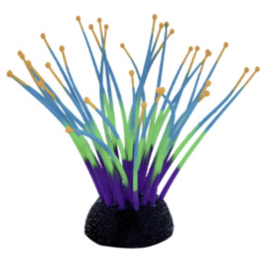 AQUA ONE Coral Glowing Purple/Green Cascade Anemone