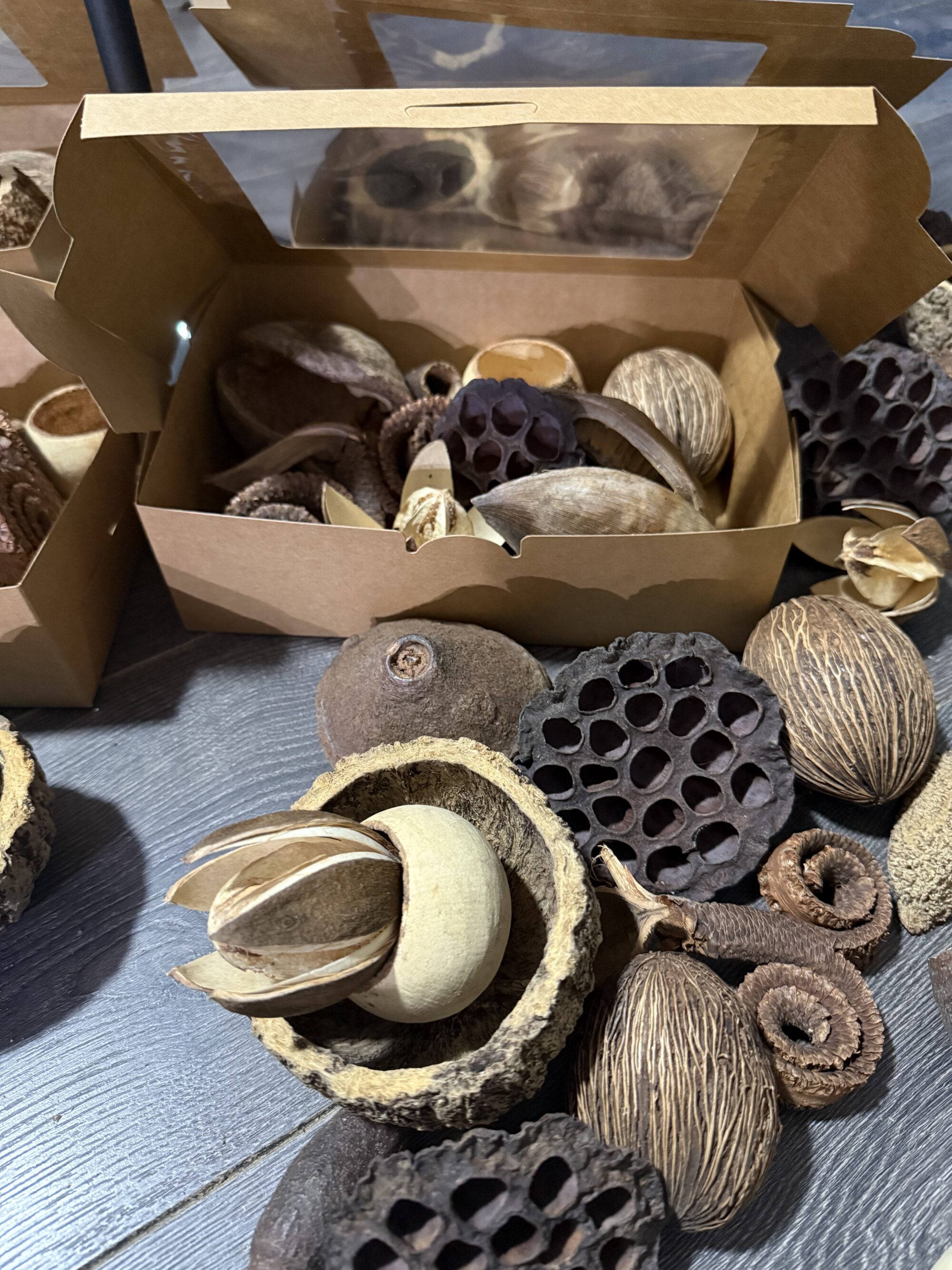 Botanical Selection Box - Mother of Aquatics